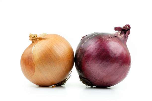 istock Ripe yellow and red onion on a white background 1147002504