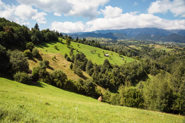rural landscape with house and hay rolls in transylvania, romania - romanian hay imagens e fotografias de stock