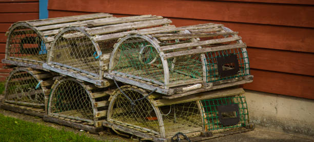 istock wooden lobster traps in Cape Breton 1147007924