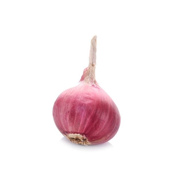 istock Red onion on white background,Isolated,Collection. 1147010203