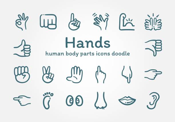 illustrazioni stock, clip art, cartoni animati e icone di tendenza di mani parti del corpo umano icone doodle - fist punching human hand symbol