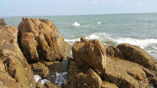 istock The rocky sea shore 1147018813