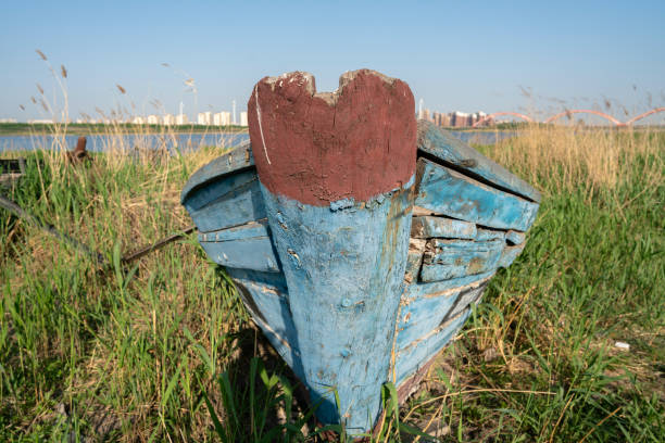 old fishing boats in grass