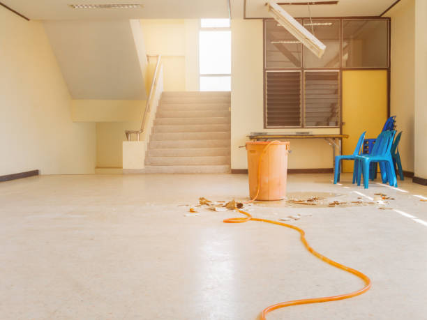istock water leak drop interior office building in red bucket from gypsum ceiling and flow on terrazzo floor 1147021463
