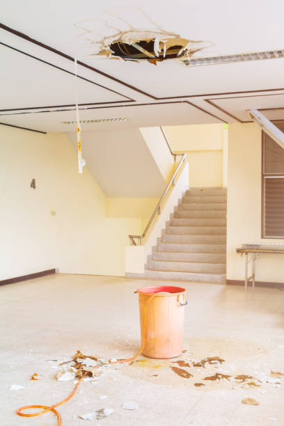 istock water leak drop interior office building in red bucket from gypsum ceiling and flow on terrazzo floor 1147021531
