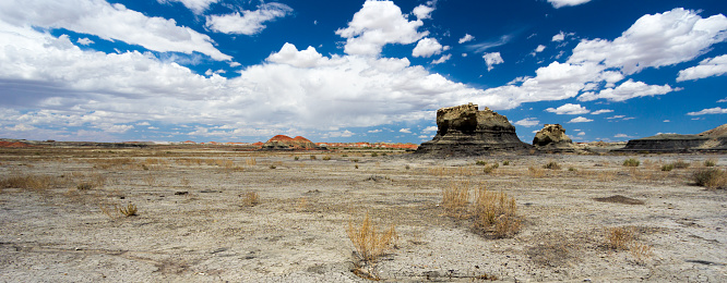 panorama rock desert landscape in northern New Mexico in the Bisti/De-Na-Zin Wilderness Area with washed out hoodoo rock formations under a blue sky