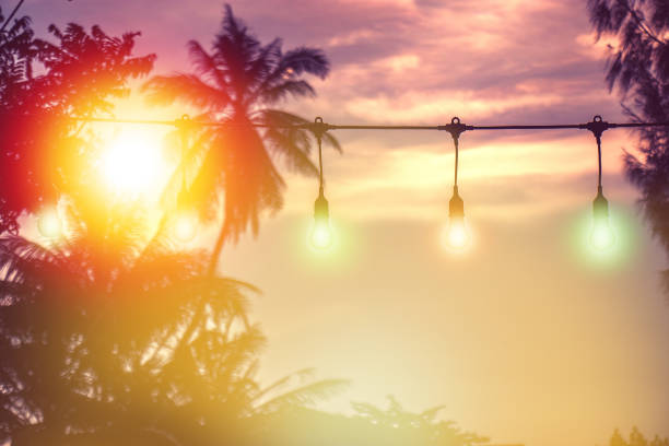 blurred light with coconut palm tree background on sunset, yellow string lights decor in outdoor restaurant
