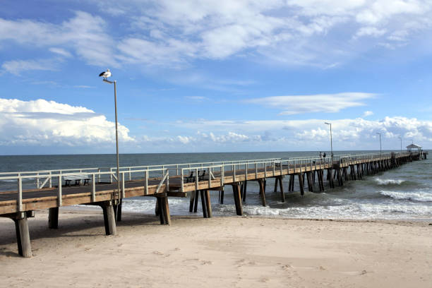 istock Henley Beach pier in Adelaide South Australia 1147026250