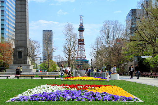 The spring scenery of Sapporo Odori Park on May 3, 2019, after a long winter, citizens here will come to Odori Park, a TV tower, looking forward to the spring. And tourists also come and go.