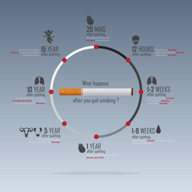 illustrazioni stock, clip art, cartoni animati e icone di tendenza di infografica della giornata mondiale del tabacco del 31 maggio. nessuna consapevolezza della giornata del fumo. vantaggi dell'abbandono del concetto di fumo. smettila di fumare. vettore. - st vrain