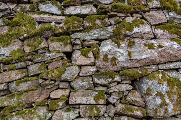 istock an old manmade stone wall with moss on it 1147038566