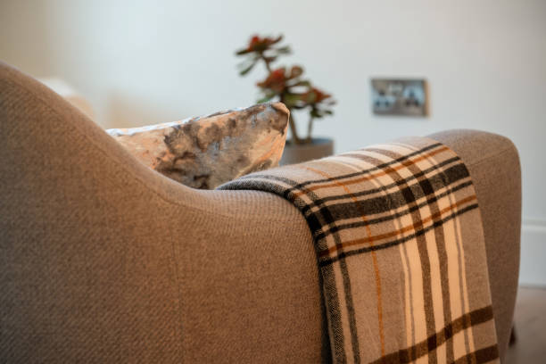 istock blanket on a sofa in a living room 1147041037