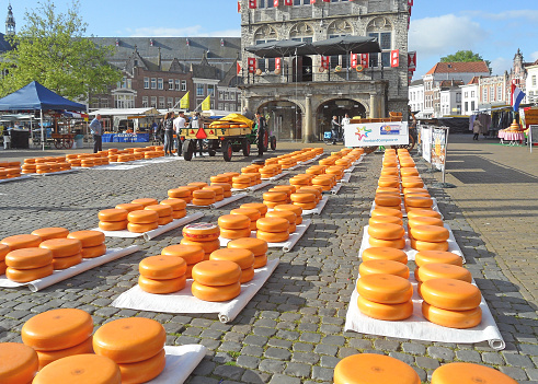 Rows of Vivid Yellow Cheese Wheel at the Gouda Cheese Market, Famous Traditional Cheese Trading in Netherlands, 15th May 2014