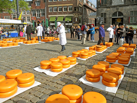 Traditional Cheese Trading at Gouda Cheese Market , The Netherlands, 15th May 2014