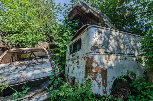 istock old cars over each other in a forest 1147043059