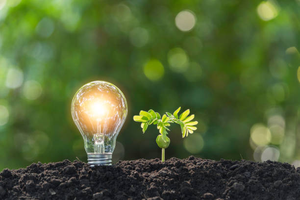 istock Light bulbs with glowing one. technology and energy concept with light bulbs. 1147044830