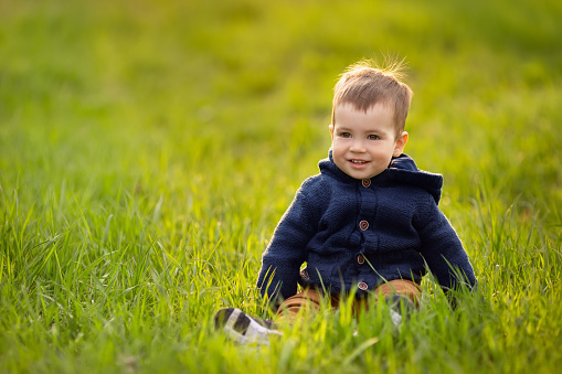 smiling little boy sitting in the green grass on a spring day. Beautiful child portrait outdoors