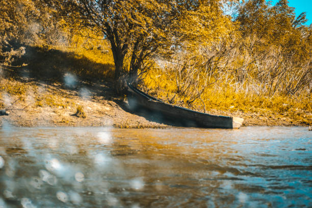Water splashes from speed boat in Danube Delta channels with abandoned boat on island