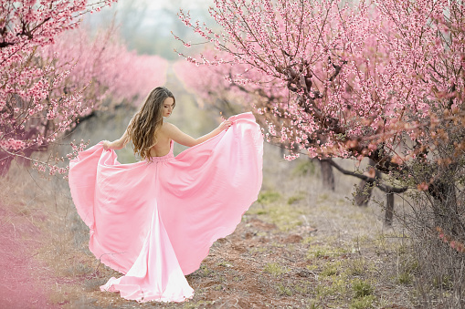 A bridegroom in a blooming garden. Woman in a long pink dress