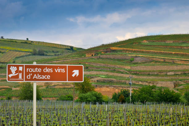istock road sign vineyard route in alsace 1147063666