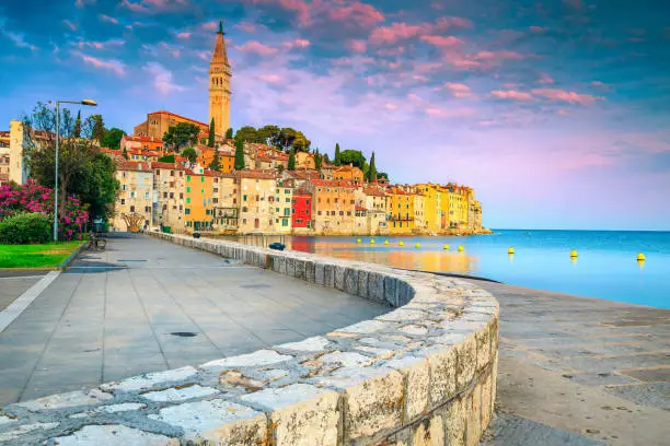 Popular mediterranean travel location. Amazing promenade on the waterfront with colorful medieval buildings and oleander flowers, Rovinj, Istria region, Croatia, Europe