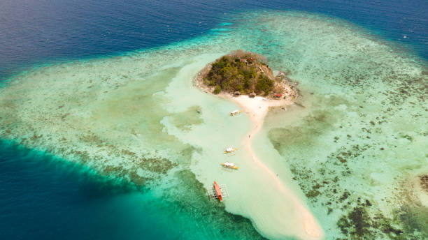 istock Small torpic island with a white sandy beach, top view 1147065814