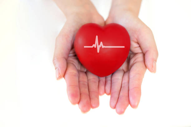 istock Heart in the hands 1147066539