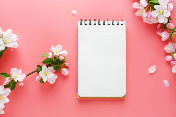 istock Blooming spring sakura on a pink background with notepad space for greeting message. The concept of spring and mother's day. Beautiful delicate pink cherry flowers in springtime 1147066619