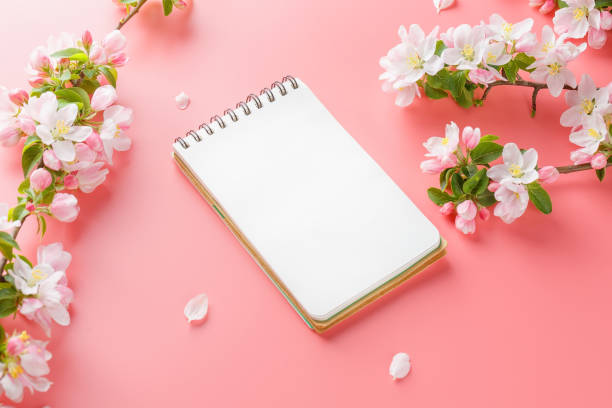 istock Blooming spring sakura on a pink background with notepad space for greeting message. The concept of spring and mother's day. Beautiful delicate pink cherry flowers in springtime 1147066796