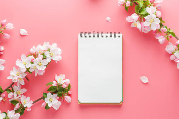 istock Blooming spring sakura on a pink background with notepad space for greeting message. The concept of spring and mother's day. Beautiful delicate pink cherry flowers in springtime 1147066948