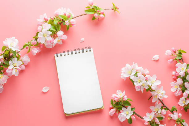 istock Blooming spring sakura on a pink background with notepad space for greeting message. The concept of spring and mother's day. Beautiful delicate pink cherry flowers in springtime 1147068418