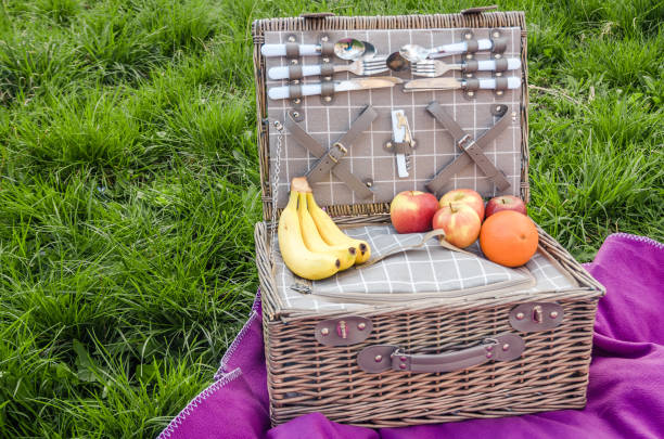istock picnic basket with food on the blanket 1147070863