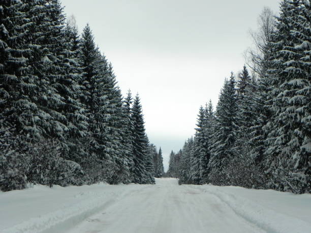 istock Winter snow-covered road. 1147072236