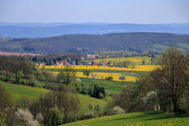 istock Blossoming rapeseed field in Saxony, Germany 1147074864