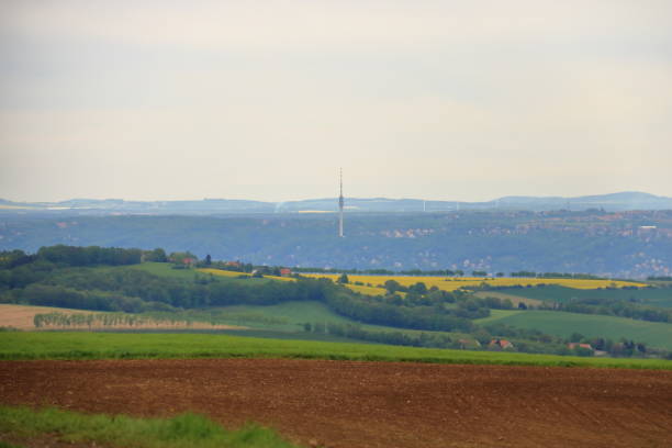 istock Blossoming rapeseed field in Saxony, Germany 1147075318