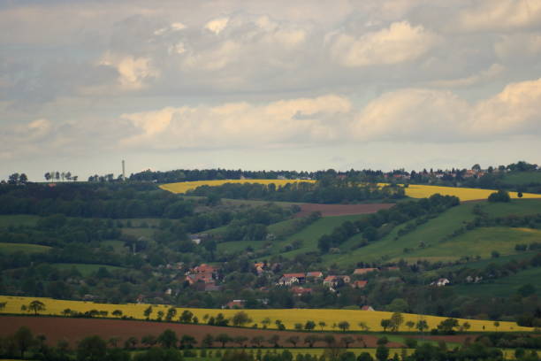 istock Blossoming rapeseed field in Saxony, Germany 1147075928