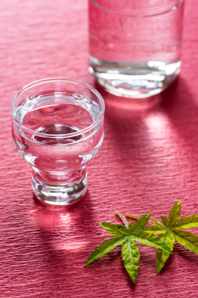 istock Japanese cold liquor 'Sake' 1147078213