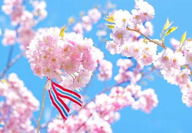 istock Norwegian 17'th of may ribbon. 1147078709