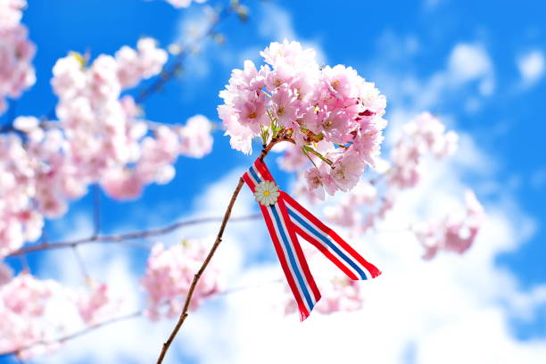 istock Norwegian 17'th of may ribbon. 1147078778