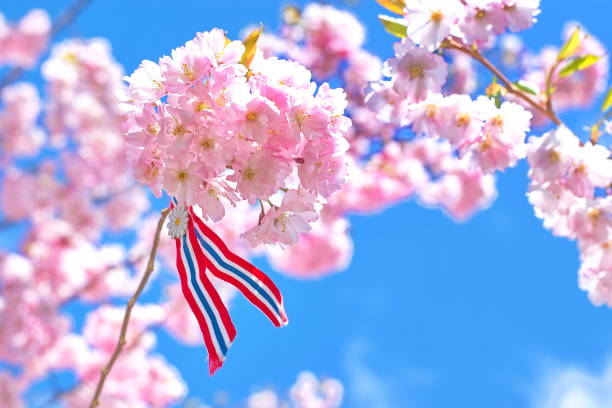 istock Norwegian 17'th of may ribbon. 1147078793