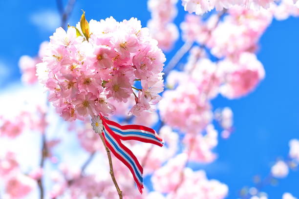 istock Norwegian 17'th of may ribbon. 1147078794