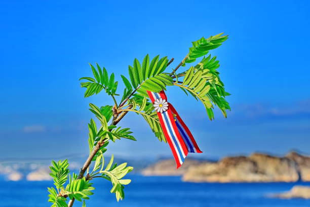 istock Rowan tree with Norwegian 17'th of may ribbon 1147078814