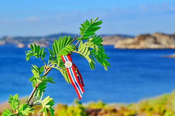 istock Rowan tree with Norwegian 17'th of may ribbon 1147078816