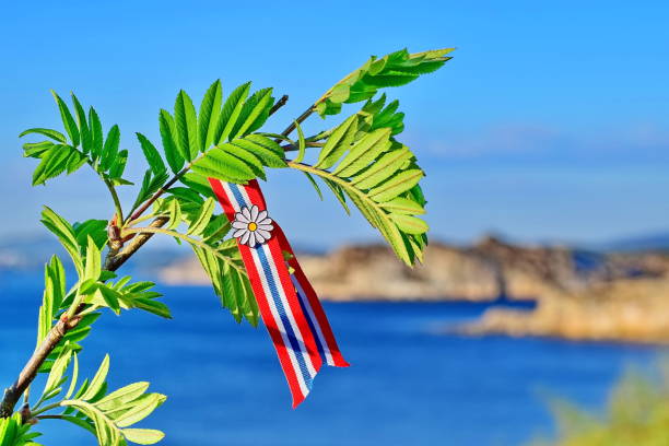 istock Rowan tree with Norwegian 17'th of may ribbon 1147078896