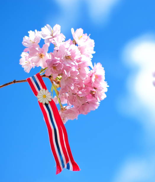 istock Norwegian 17'th of may ribbon. 1147079335