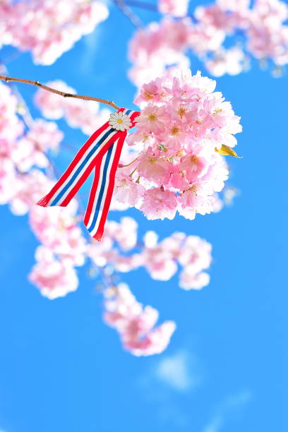 istock Norwegian 17'th of may ribbon. 1147079355