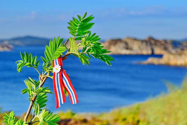 istock Rowan tree with Norwegian 17'th of may ribbon 1147079415