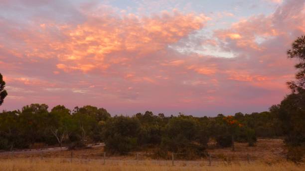 istock Beautiful View of the Australian Bush During Sunset 1147081782