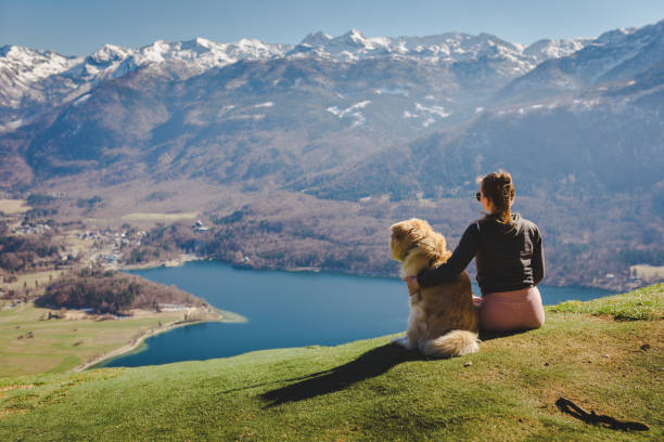 istock Woman and her dog admire the view 1147082249