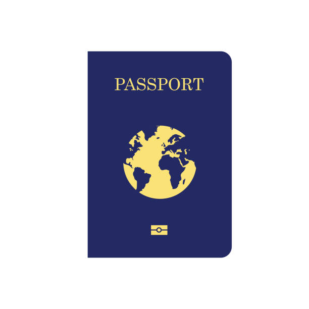 istock Vector international cover of passport isolated on white background. 1147083346